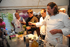 Emmanuel Ruz aux Etoiles de Mougins 2008