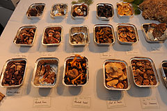 Regis Marcon aux Etoiles de Mougins 2008