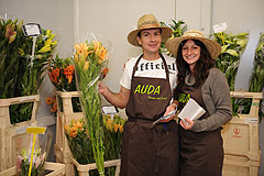 Auda Fleurs lors des MIN EN FÊTE à Nice