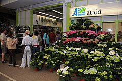 Auda Fleurs lors des MIN EN FÊTE à Nice