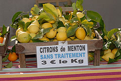 Fete du Citron de Menton 2008